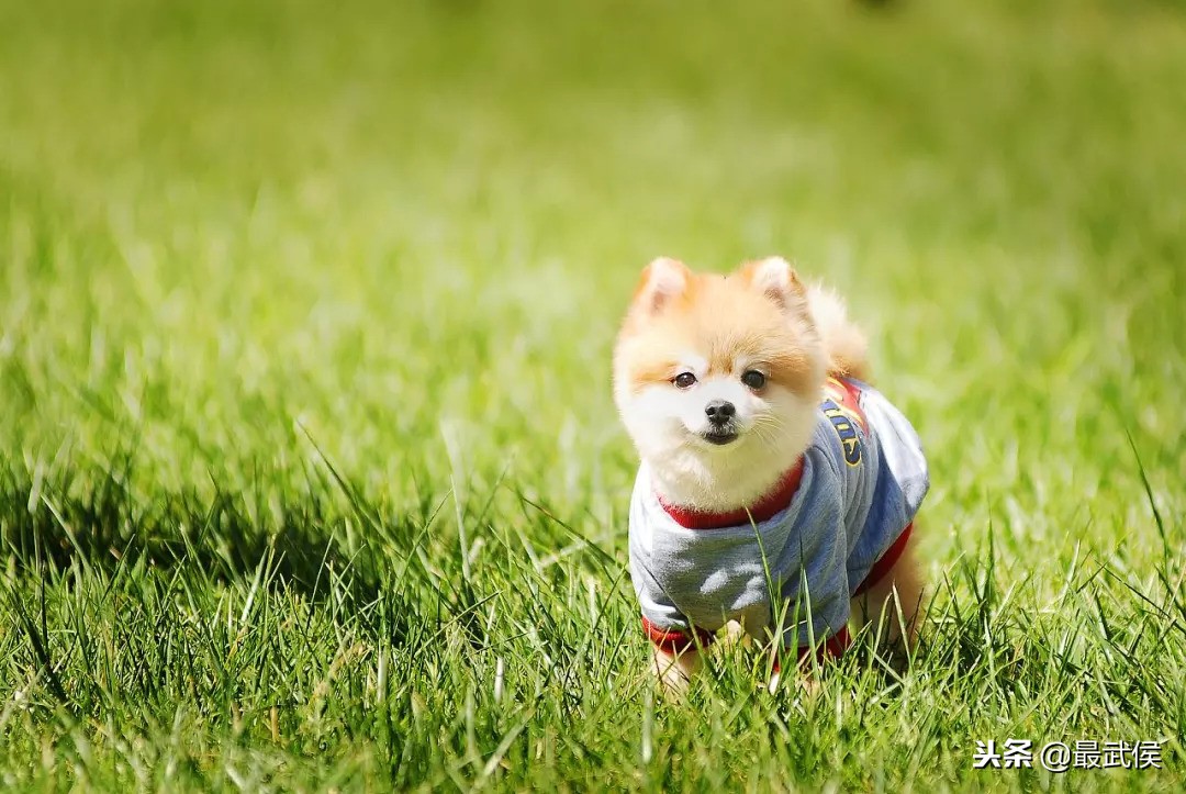 成都日化批发市场在哪便宜,成都批发市场哪里最大最便宜