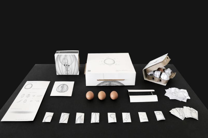 创意鸡蛋礼品盒包装设计,100个经典鸡蛋包装设计