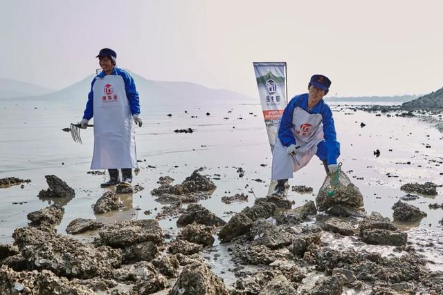 乳山生蚝和普通生蚝的区别10斤装,乳山生蚝鲜活特大生蚝