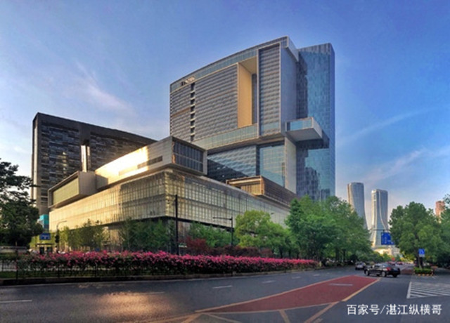 雷州首富苏萌回北港,雷州首富苏萌是如何发家的