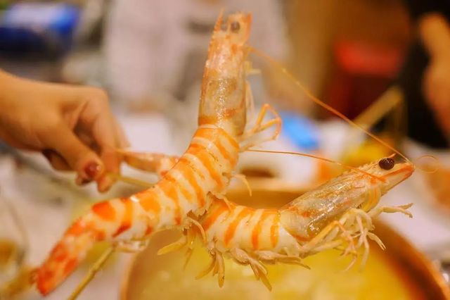 广州超有氛围的火锅店,广州6家顶级餐厅