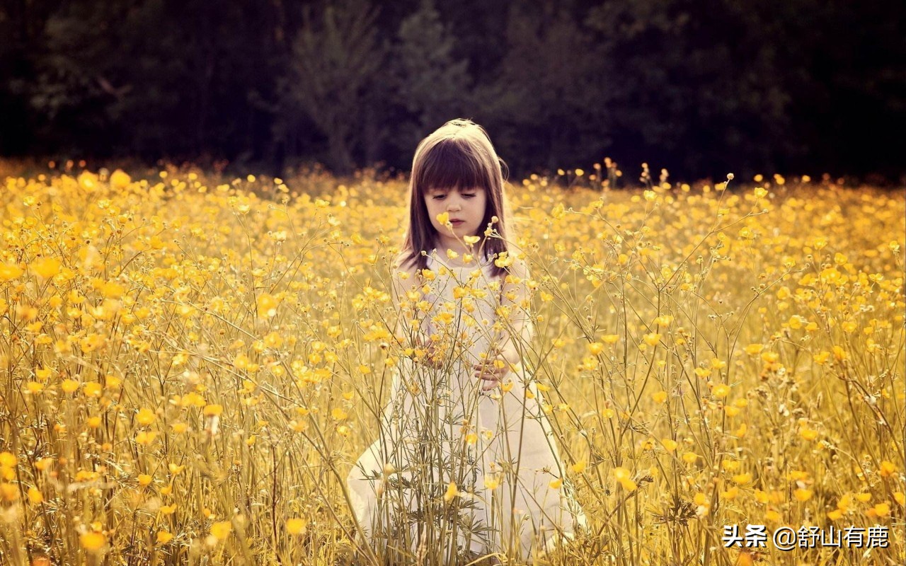 姥姥的点拨经典句子,姥姥的告诫