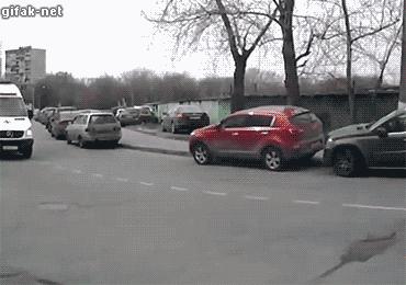 搞笑视频,搞笑动图gif兔子