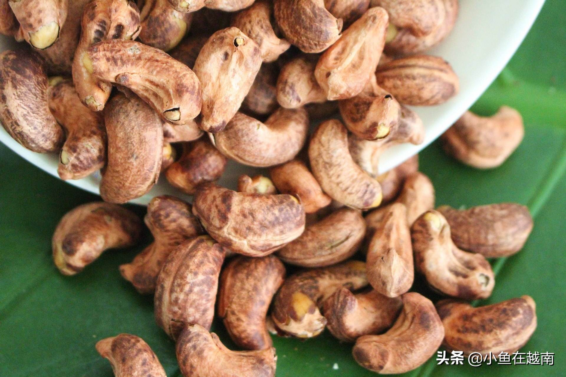 《走进越南》041期:世界腰果看越南,越南腰果在平福!