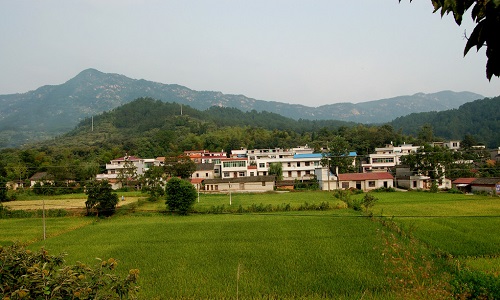 农村村民一户一宅,农村分户一户多宅