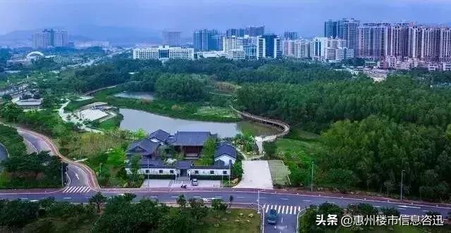 大亚湾怎么样了,你以为的大亚湾vs真正的大亚湾