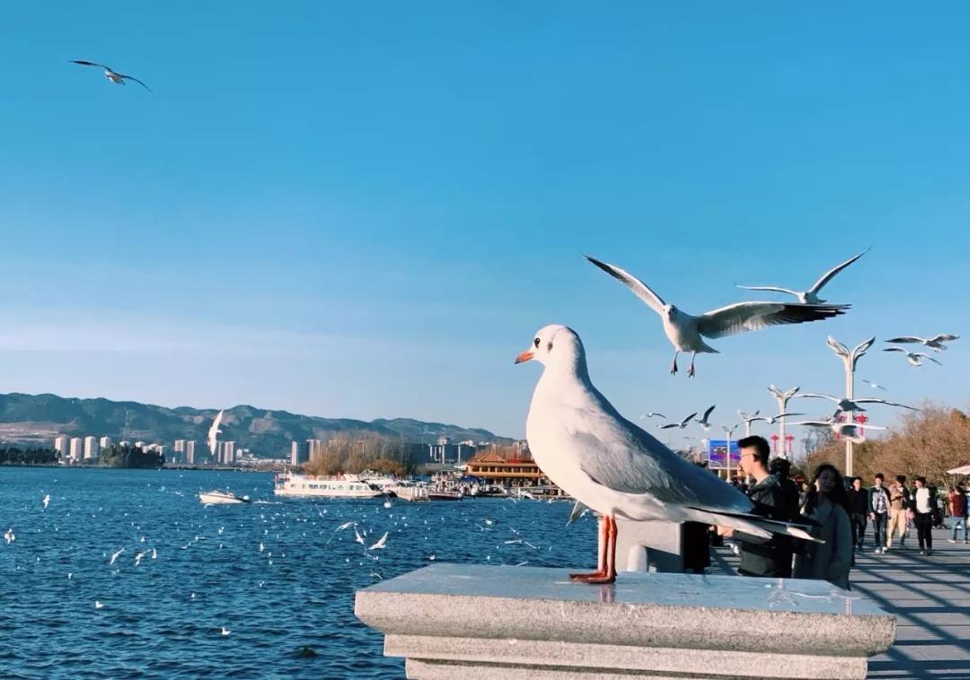 云南旅游热点排名前十,云南旅游繁忙之都