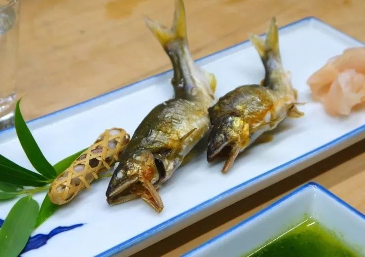 世界顶级淡水鱼大全,世界上顶级鱼类大全