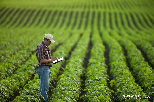 美国农民样子,美国农业怎么个模式