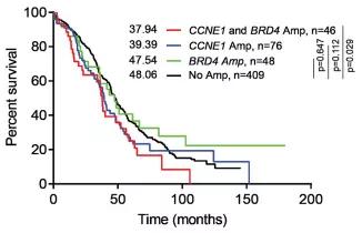 卵巢癌2a高级别浆液性腺癌患者,高级别浆液性卵巢癌2b最长生存期