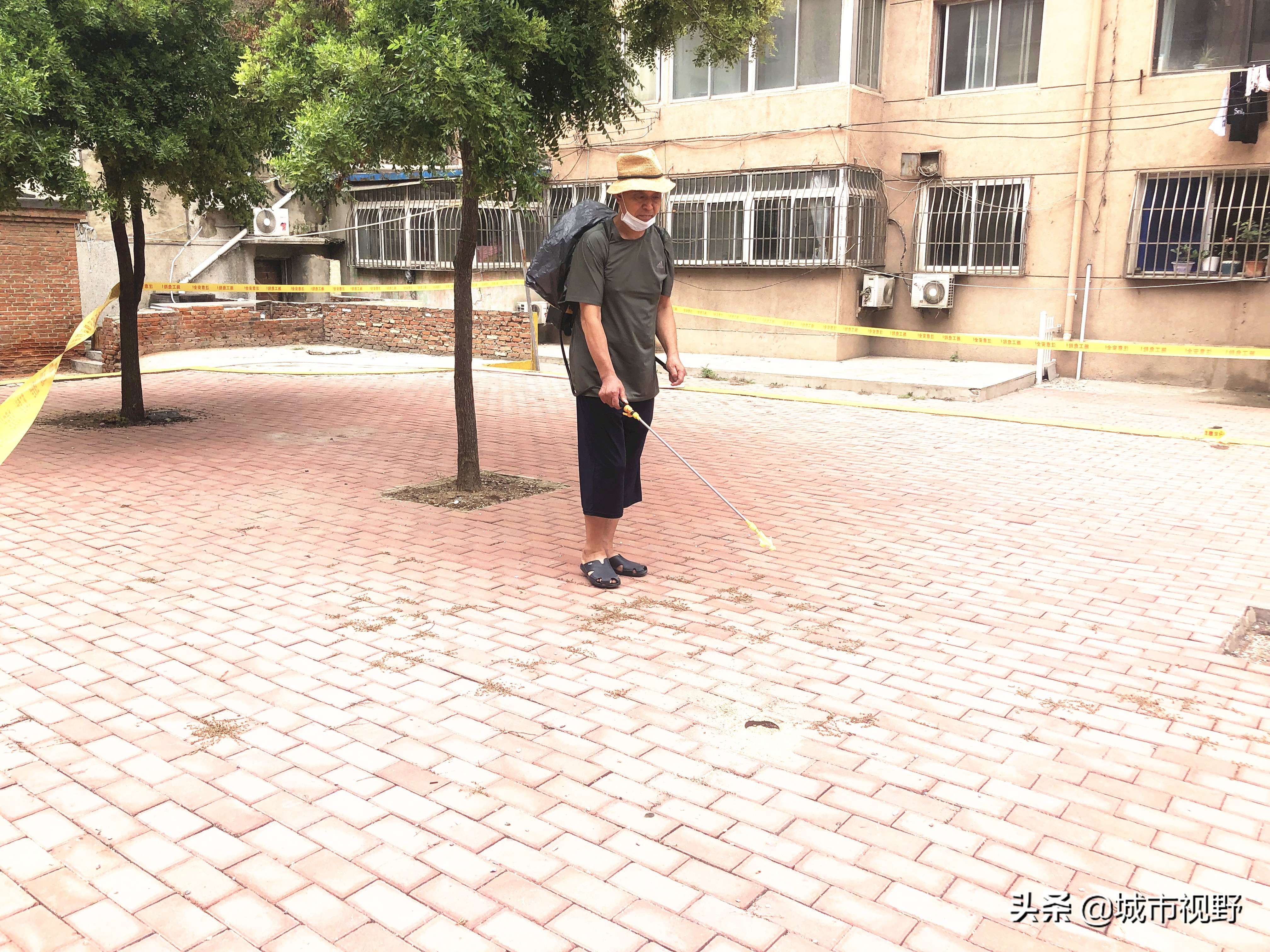 抗疫日记基层干部,抗疫日记老党员