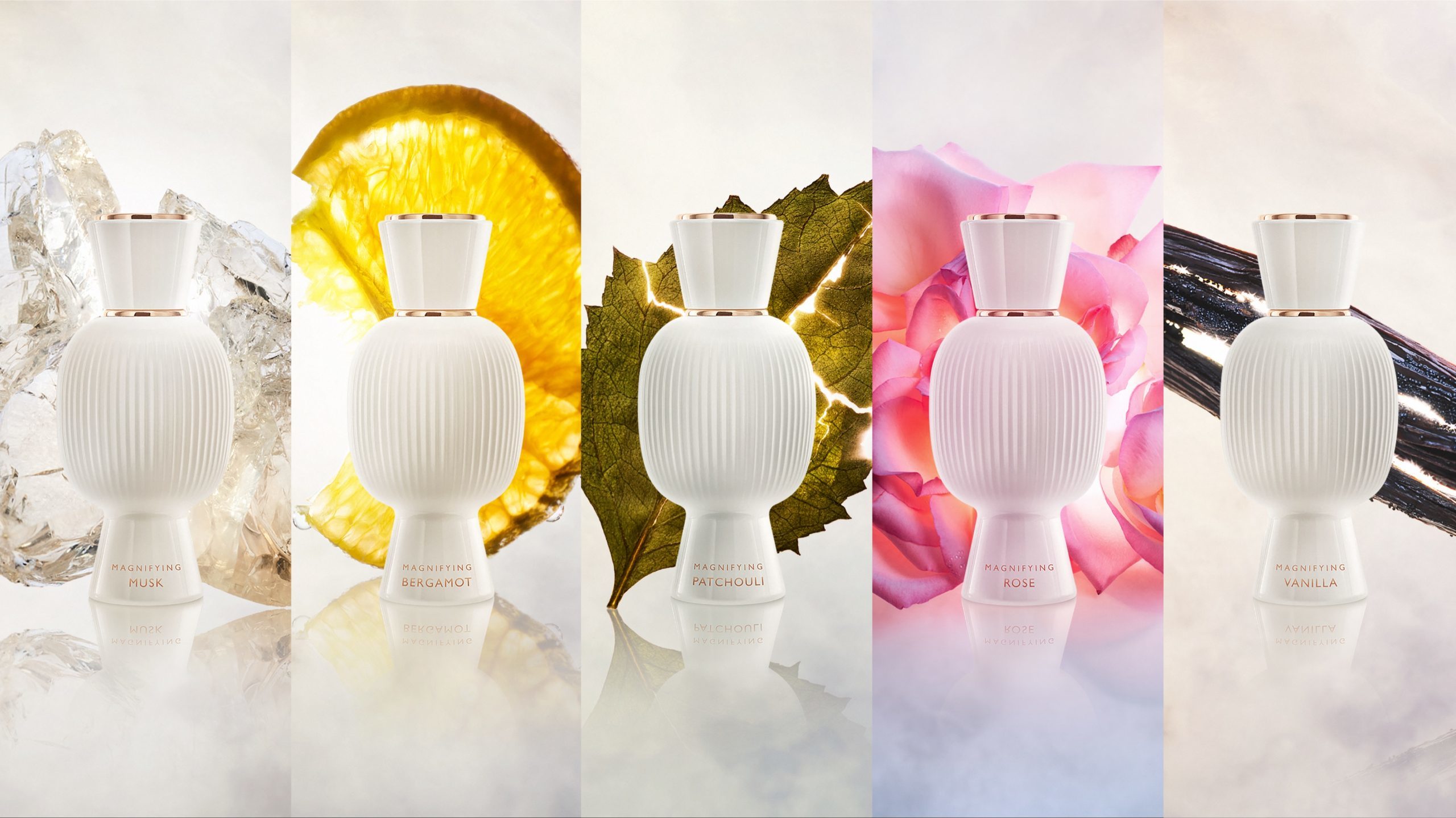 宝格丽珠宝世家香氛,宝格丽珠宝和香氛