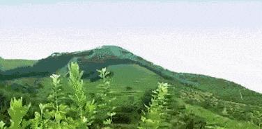 治脚冷的最有效偏方,老中医教你脚暖