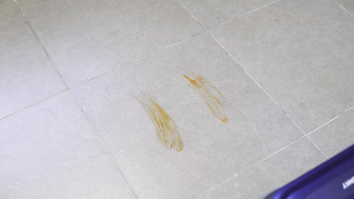 德国蓝宝拖把拖地,拖地洗地一体机测评