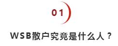 散户大战华尔街的根源和实质,散户大战华尔街有结果了吗