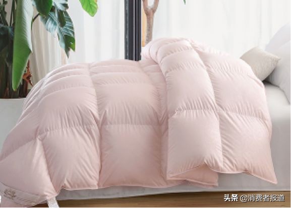 富安娜旗舰店羽绒被测评,网易严选3000多的羽绒被测评
