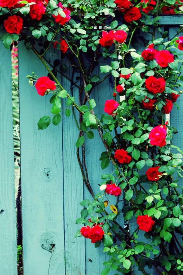 爱旅行的女人经典感言,爱旅行的女性心理