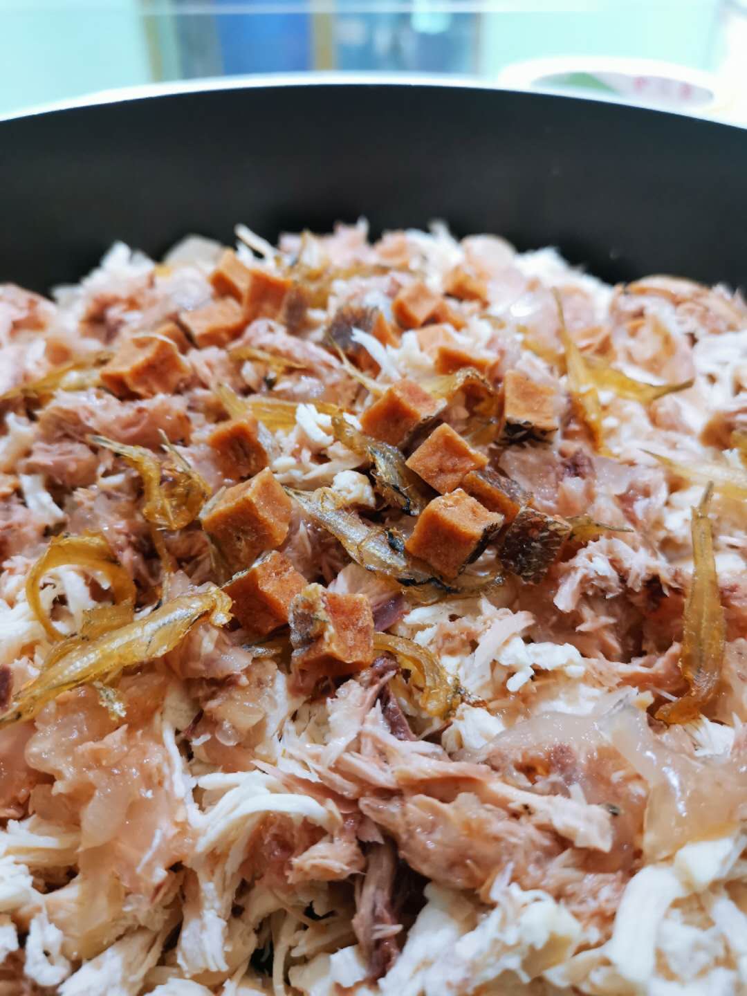 宠物市场买到星期猫,买猫怕买到星期猫该怎么做