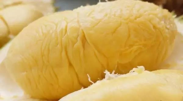 马来西亚哪里榴莲好吃又便宜,马来西亚39块钱榴莲自助