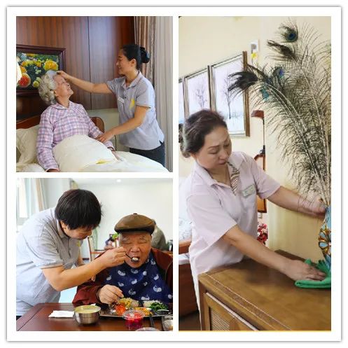 秦皇燕达养老院的地址,秦皇燕达养护中心收费