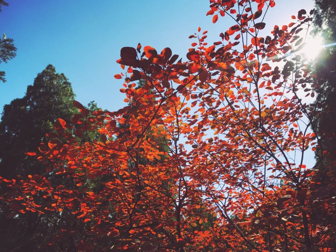 济南遛娃室内去哪里玩,济南遛娃好玩的地方