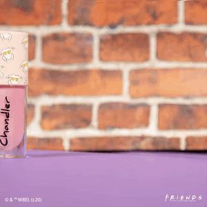 老友记联名版,老友记联名眼影盘