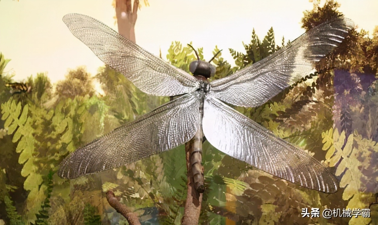 16个让你质疑的科学常识,太阳表面温度不高?