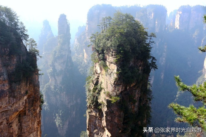 张家界森林公园亲子游攻略,张家界旅游攻略现在张家界气温