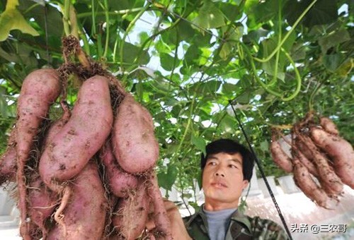 农村现在挣钱的门路有哪些,农村赚钱三个门路