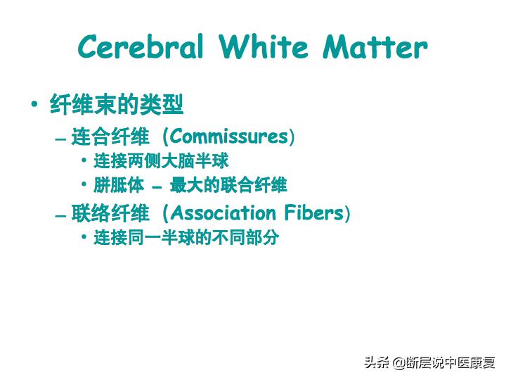 中枢神经系统断层解剖讲解,中枢神经3d解剖动画
