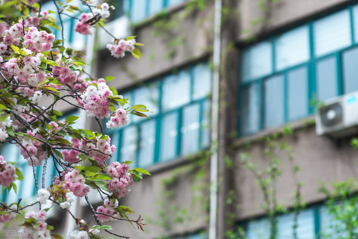 怎么看西安天气,对西安天气的吐槽