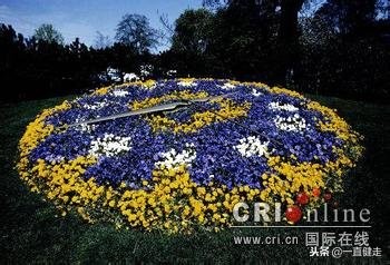 忏悔录卢梭值不值得读,雅克卢梭忏悔录