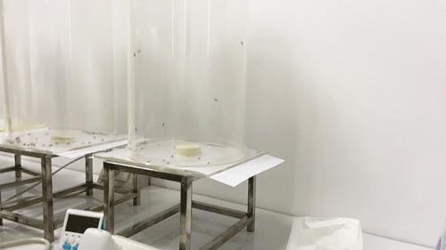 宝宝驱蚊蚊香液测评,宝宝电蚊香驱蚊液哪个无毒