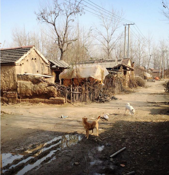 人民网人民小酒,人民小酒