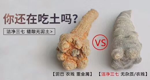 优质三七怎么辨别,辨别三七真假视频