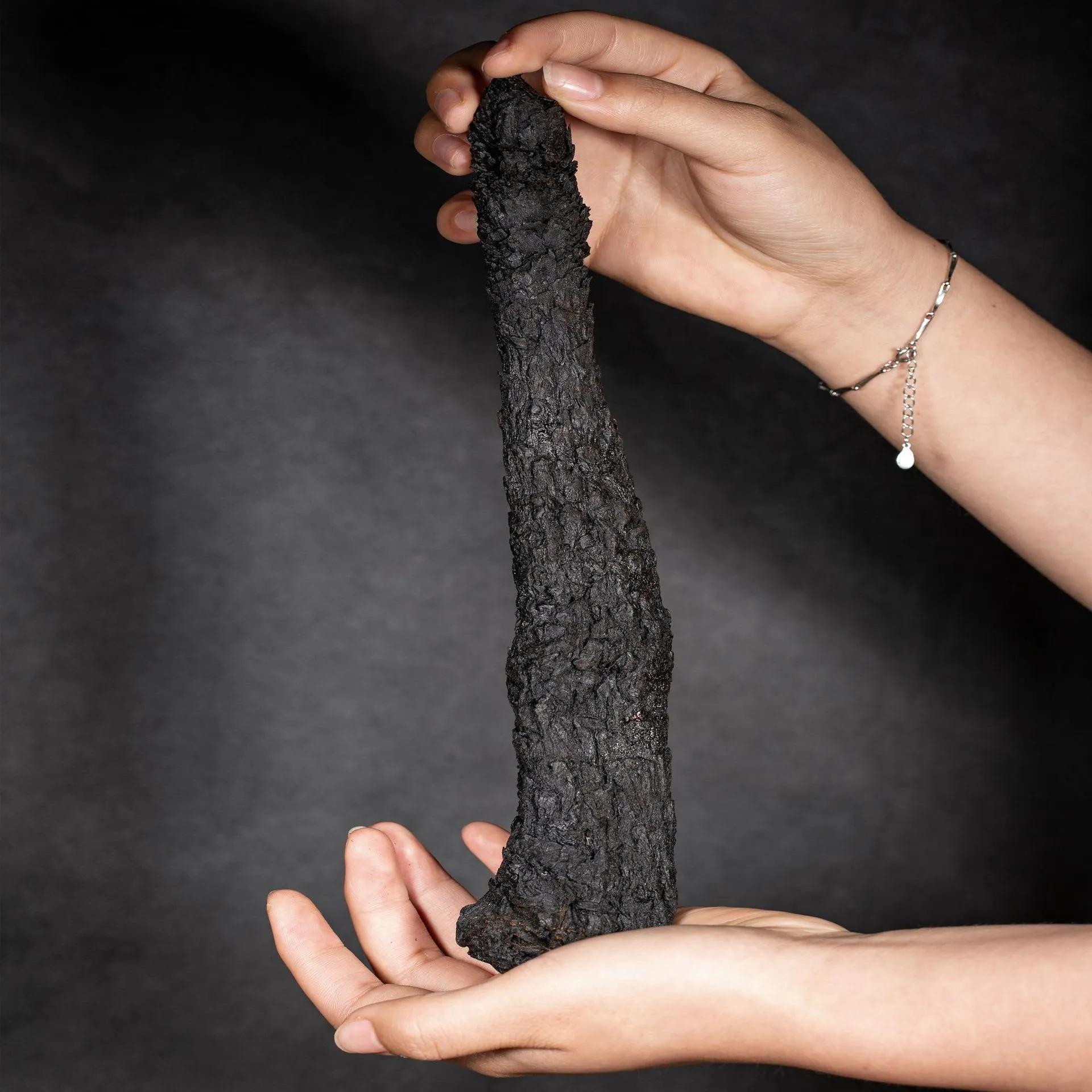 怎样区分肉苁蓉的好坏,锁阳肉苁蓉怎样识别好坏