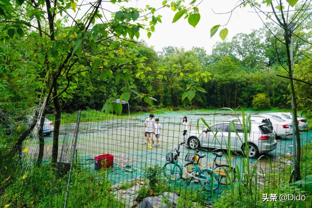 成都仓储式折扣超市,肉测评探店美食