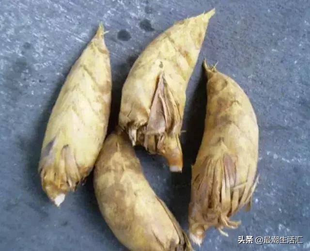 大埔最好吃的小吃,大埔好吃的