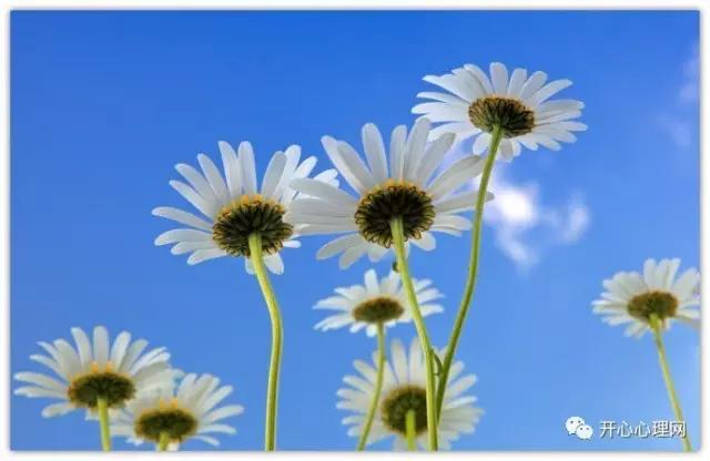 通俗易懂的规律,14个简单的定律