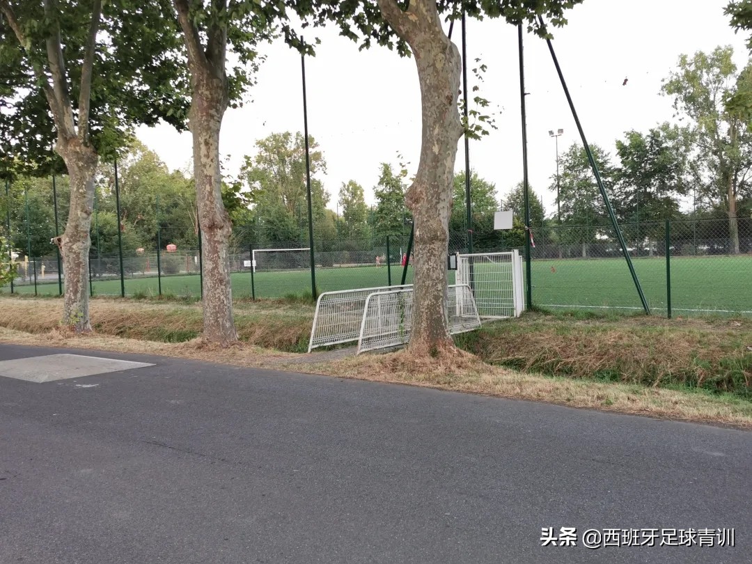 围观野球场,野球场遇见大佬