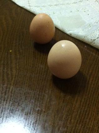 端午节的来历和端午节的习俗,端午节的传说和端午节的习俗