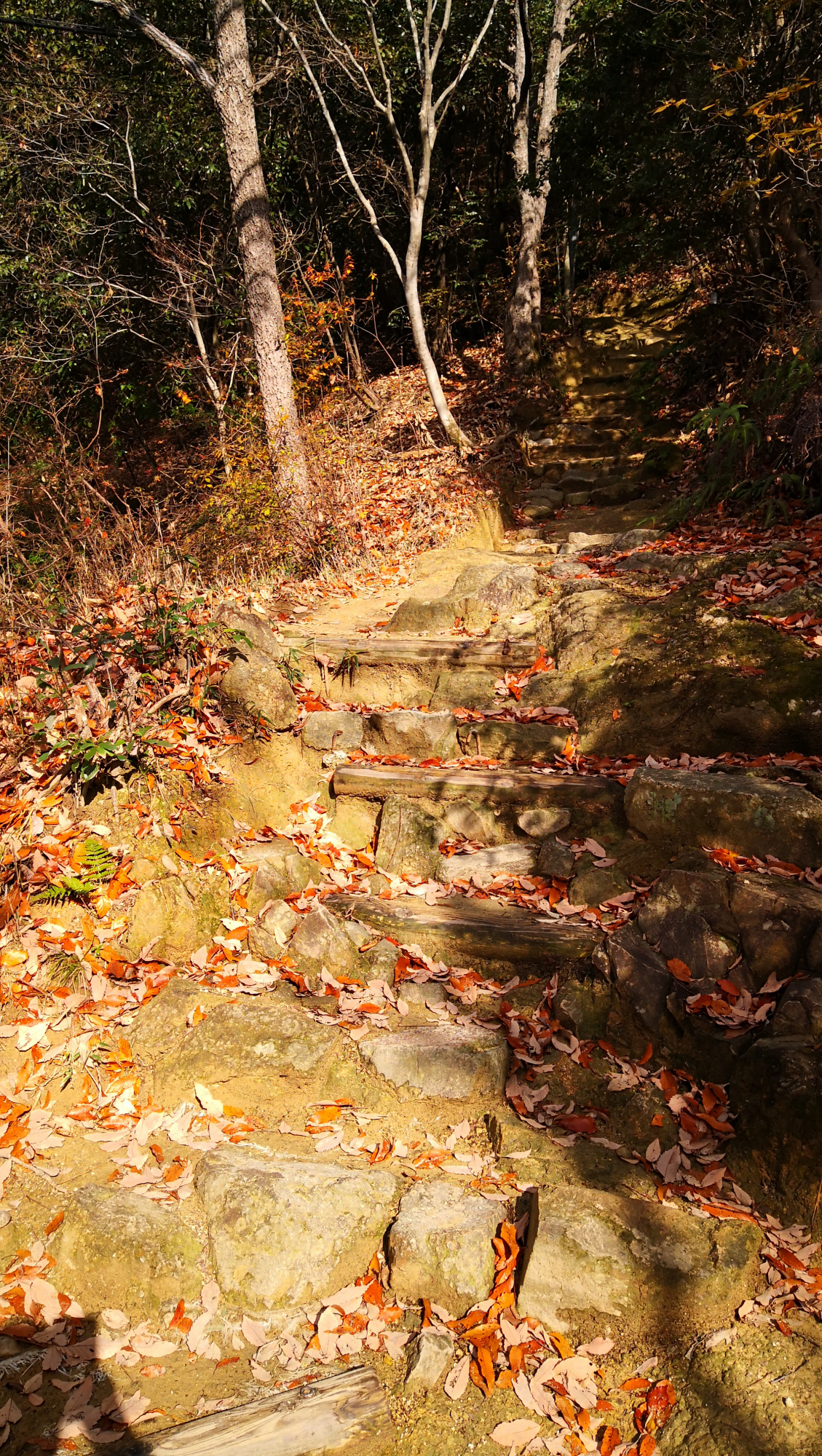 书写山圆教寺景点,书写山圆教寺攻略