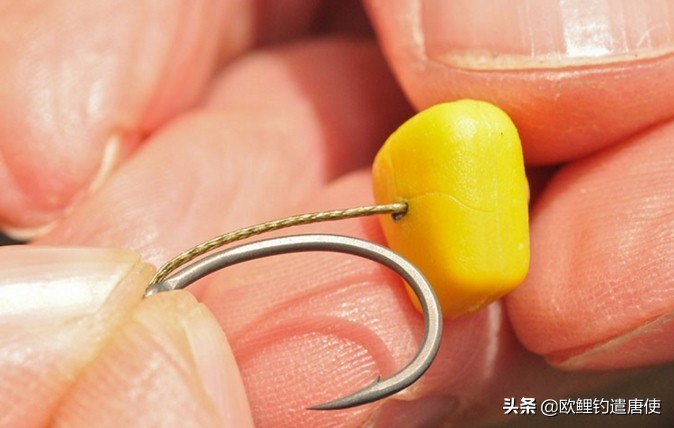 欧鲤钓各种钓组优势,话说欧鲤钓之铅坠篇