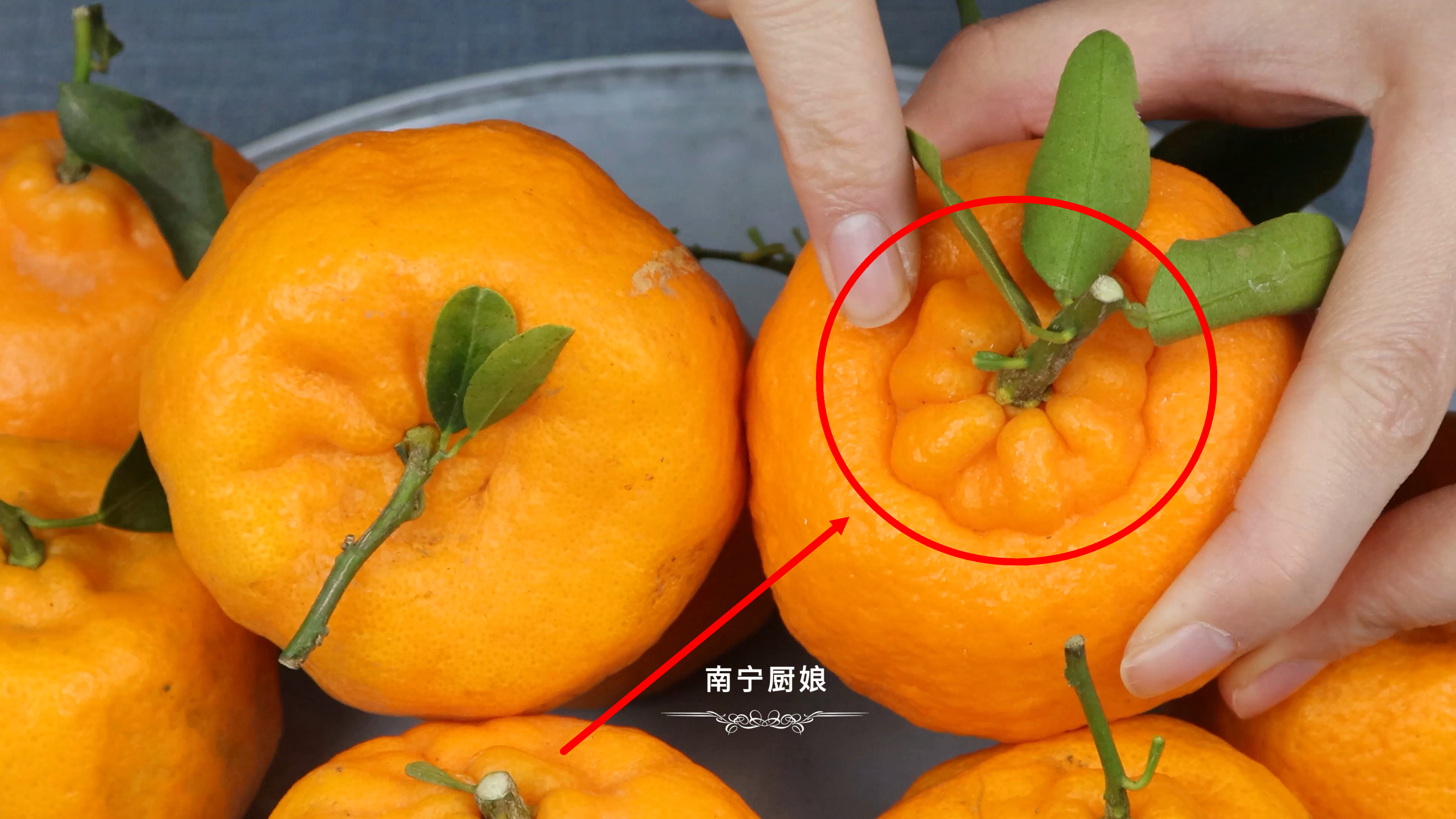 购买丑橘如何挑选,挑选丑橘的小妙招