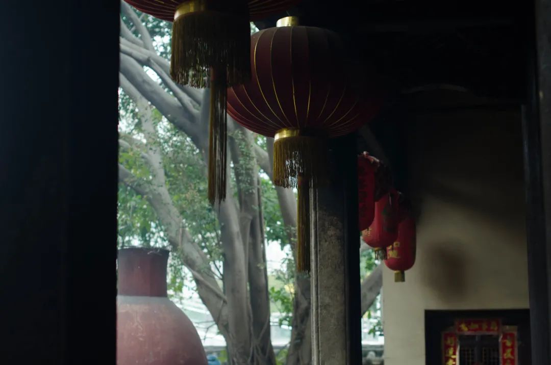 深圳花了17个月，“赶走了”居住在千年古城里的30000人