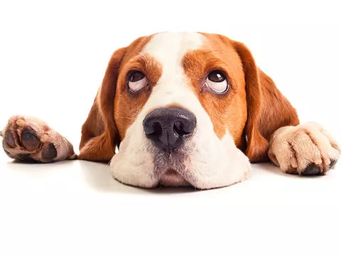 【话题讨论】这类事你们怎么看？