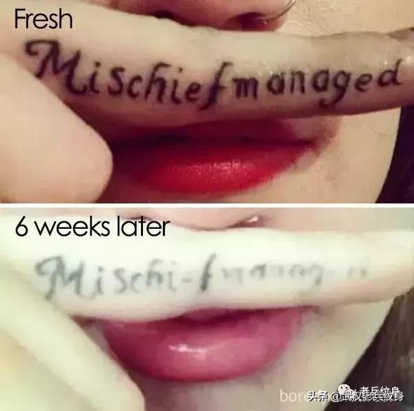 手臂旧纹身遮盖,遮盖旧纹身的图案