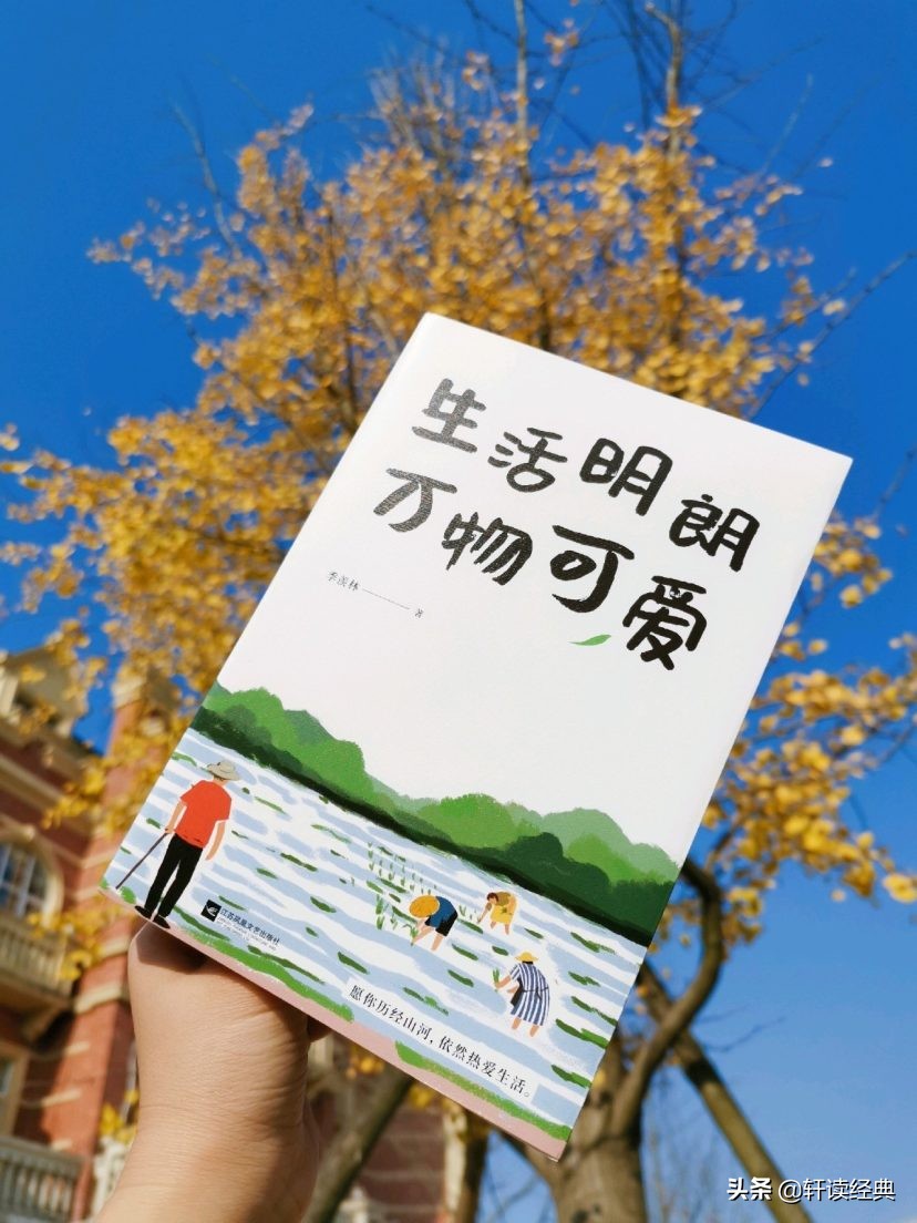 2019必读的5本书,在迷茫的时候可以看什么书