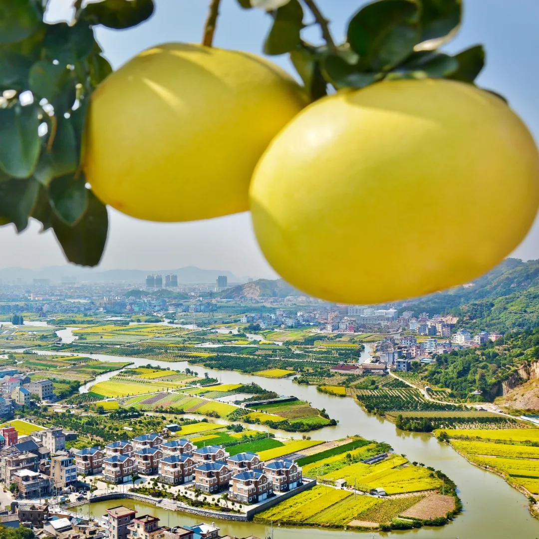 东海之滨的玉环，红色血脉激荡蓝色梦想