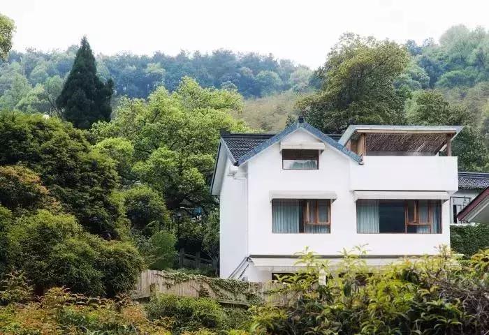 杭州十大网红民宿300以内,杭州十大景点民宿排名第一